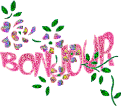 Gif animé bonjour